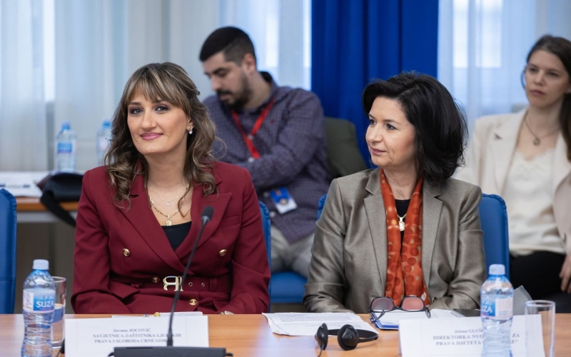 Jačati međusektorsku saradnju za unaprjeđenje podrške ranom razvoju djeteta